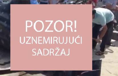 Ogromnom pilom su još živu kitopsinu isjekli na komade