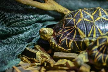 24sata Zagreb: Rodili&scaron;te u Zoolo&scaron;kom vrtu