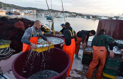 Plivaričarima  obeštećenja za privremenu obustavu ribolova