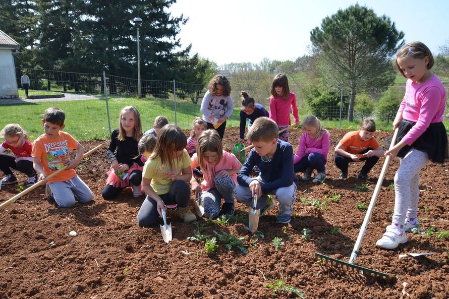 Duško Marušić/Pixsell