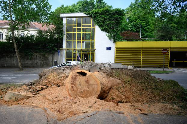 Zagreb: Veliko stablo srušilo se u Tuškancu i oštetilo ogradu kod javne garaže