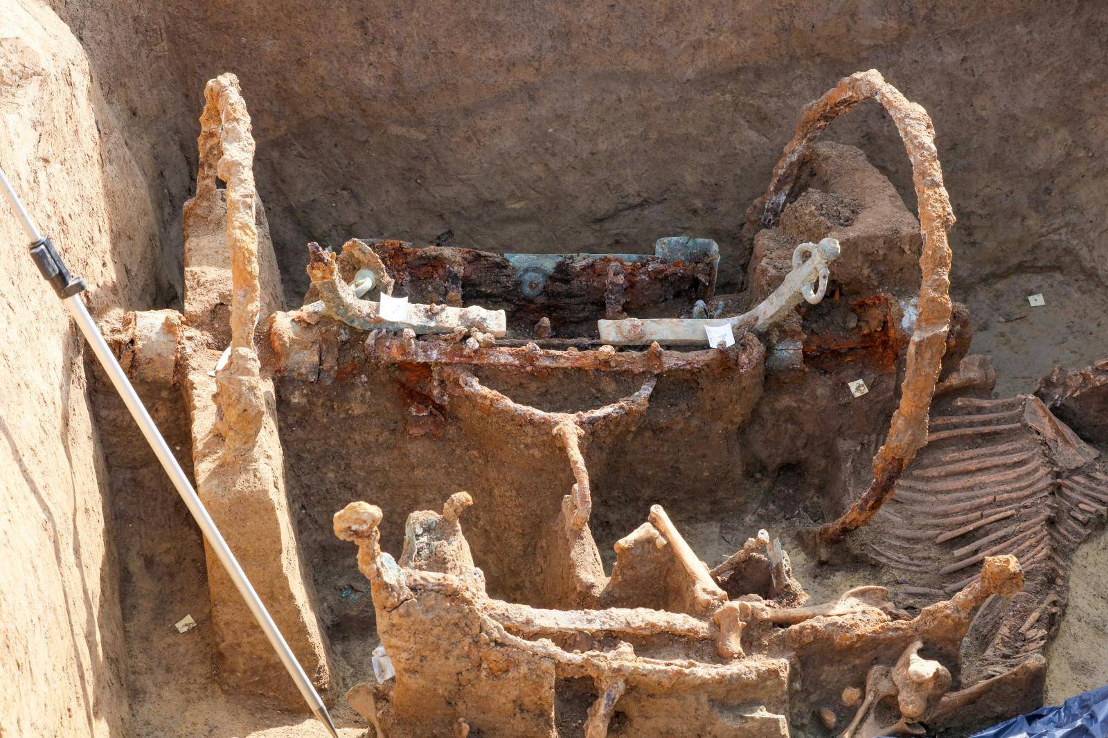 Na lokalitetu JankovaÄka dubrava pronaÄena rimska kola s upregnutim konjima iz 3. stoljeÄa