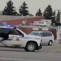 Policajci iz Kanade jurili su oko 20 nojeva: Pobjegli su iz svoje nastambe i trčali ulicama grada