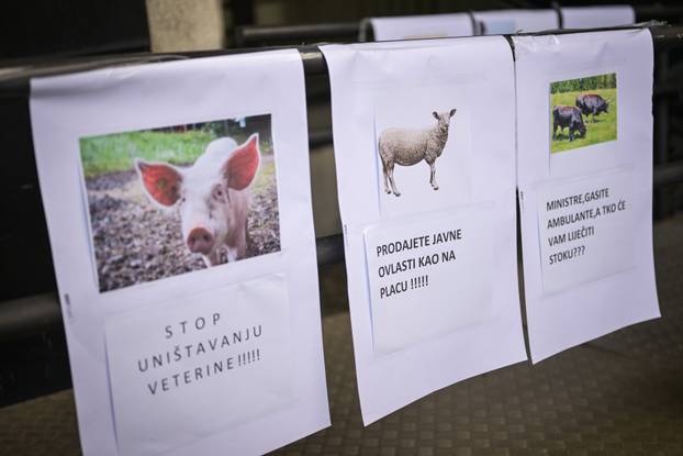 Zagreb: Prosvjed veterinara ispred Ministarstva poljoprivrede