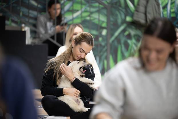 24SATA Paw Yoga, inovativni koncept joge koji je stigao u Hrvatsku