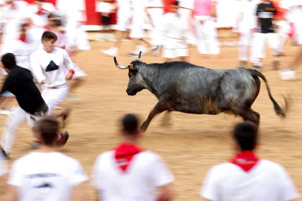 Pamplona's San Fermin festival