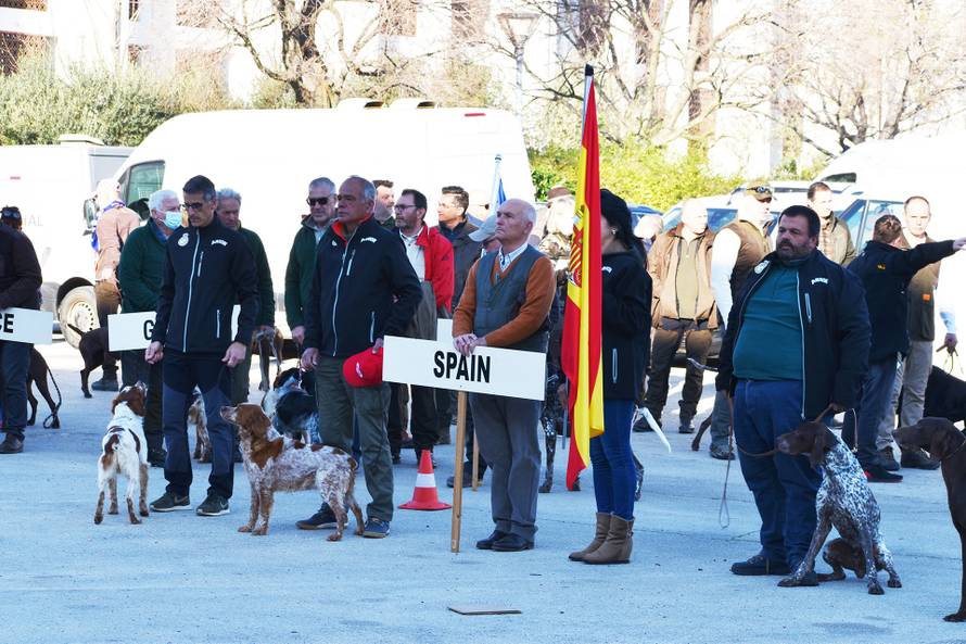 Ukrajinska himna orila se u Zadru zbog jednog - psa. Rančo je najbolji ptičar u Europi...