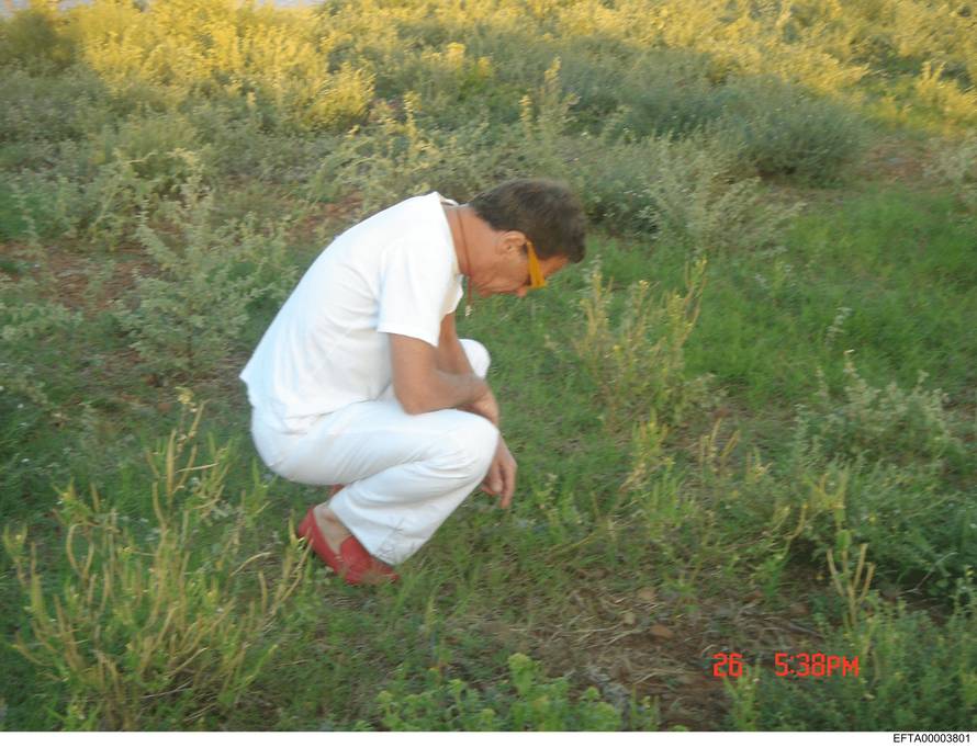 Ruskinje, privatni letovi, party na otoku: Ovako je Epstein gradio svoju mrežu sa slavnima