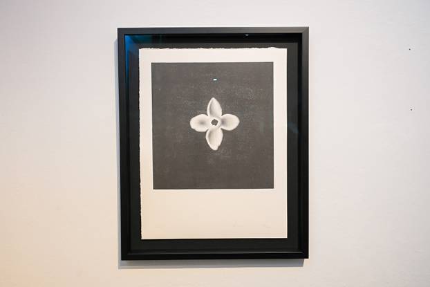 Zagreb: Predstavljanje maslinovog ulja Cadenela Novello 2025