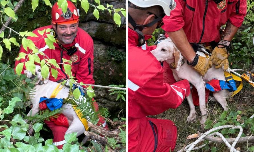 Nestašni pas upao je u jamu, spasio ga HGSS: 'Preplašio se'