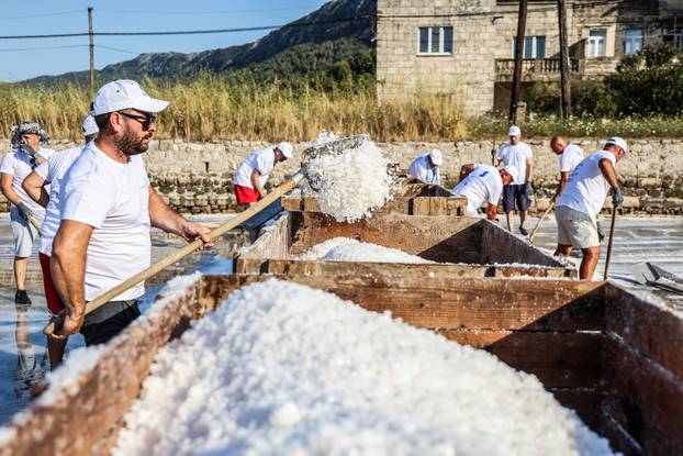 Berba soli u Stonskoj solani