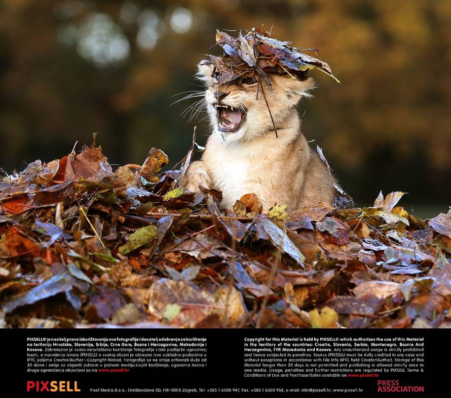 Press Association/Pixsell