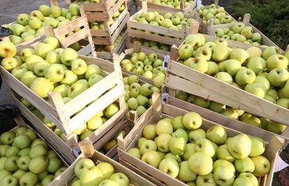 Jabuke povukli zbog pesticida, a one špricane prema propisu