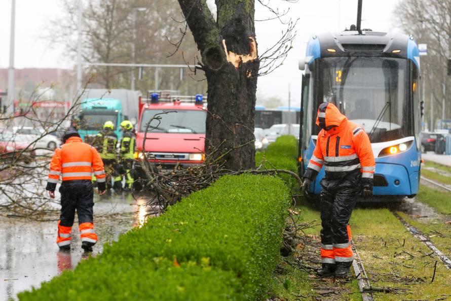 Zagreb: Zatvorena Vukovarska ulica  u smjeru zapada radi uklanjanja stabla