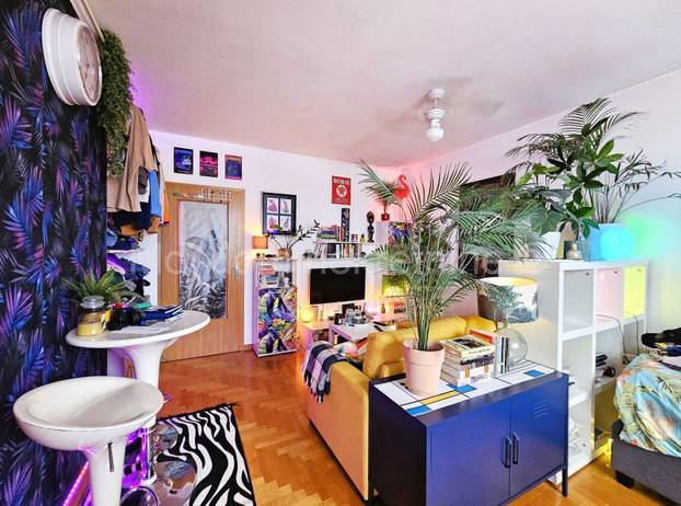 FOTO Prodaje se 'egzotični' stan u Zagrebu. Flamingosi, palme i disco u 36m2! Cijena mu je hit...