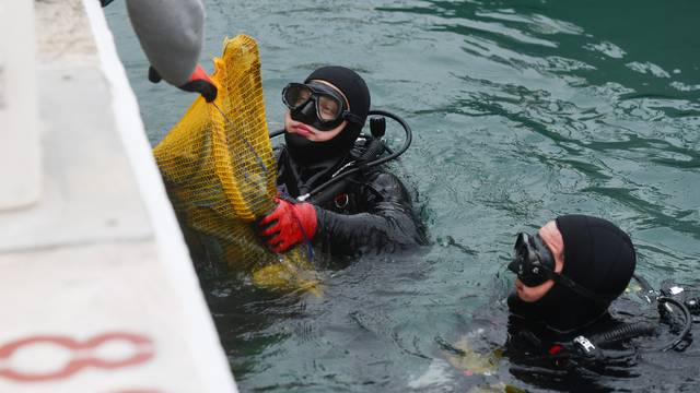 Murter: Udruga Argonaut organizirala akciju čišćenja podmorja u sklopu projekta Rezolucija Zemlja