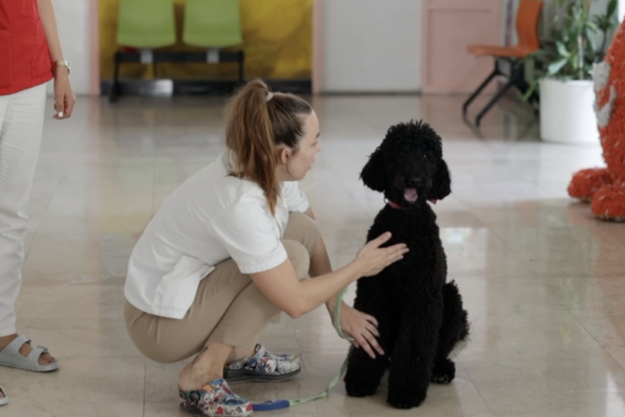 Split: Terapijski pas Dora i terapeutkinja Matea Vidak