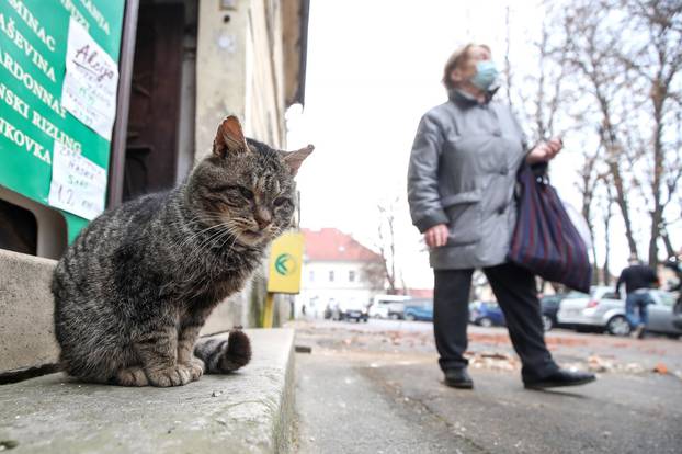 Petrinja: Posljedice jutrošnjeg potresa vidljive su na gradskim ulicama