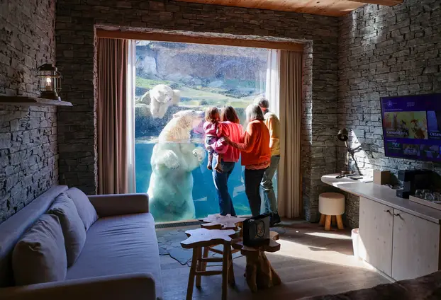 FOTO U Belgiji možete spavati u zoološkom: Evo koliko košta noć