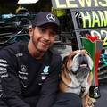 Uginuo pas Lewisa Hamiltona: 'Najteža odluka u mom životu'