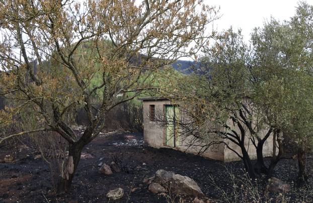 Kor&ccaron;ula: Jutro na po&zcaron;ari&scaron;tu izme&dstrok;u Smokvice i Blata 