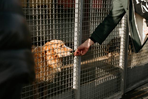 FOTO Igrači Cibone darovali su njuškice u Dumovcu i u vrijeme blagdana pokazali veliko srce