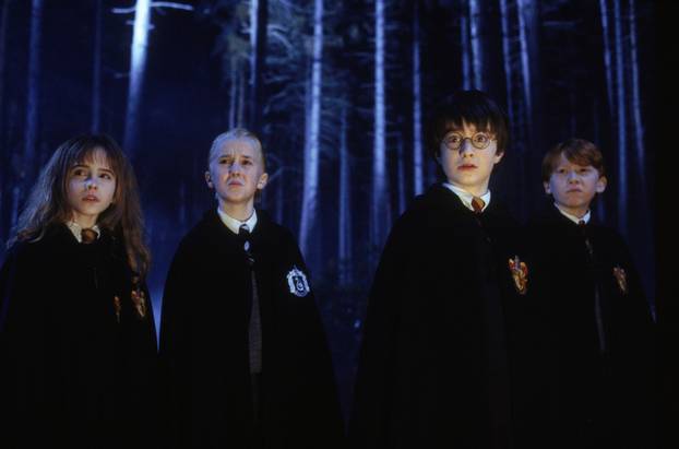 Harry Potter and the Sorcerer's Stone (2001) - filmstill