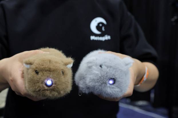 CES 2025, an annual consumer electronics trade show, in Las Vegas