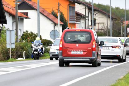 Prometnu i vozačku? Nemam! Kod Čakovca intervenirala policija zbog labuda na cesti