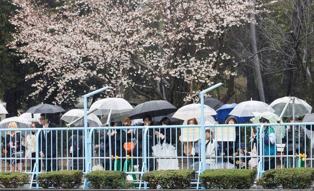 Visitors take photo of a baby Japanese macaque named Punch at Ichikawa City Zoo, in Ichikawa, Chiba Prefecture