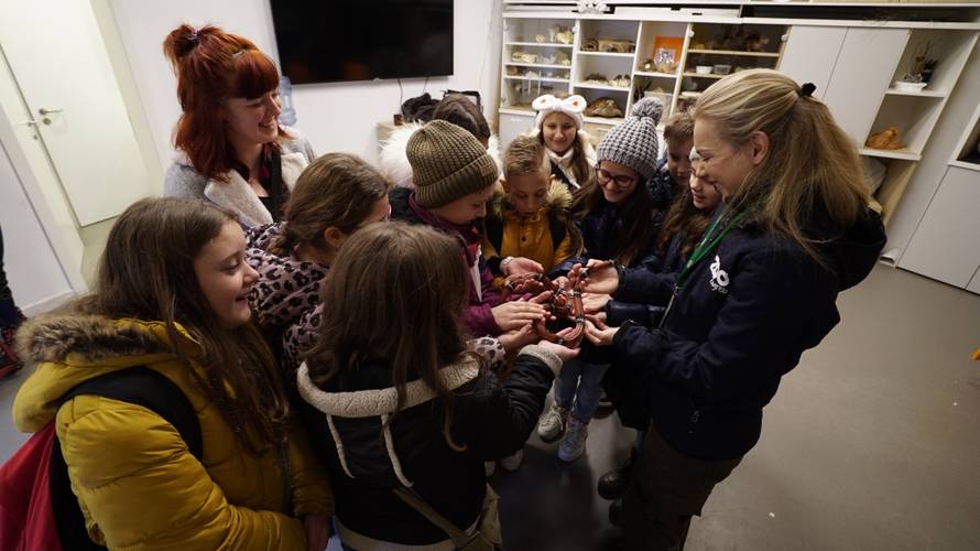 Božićno iznenađenje: Učenici iz Slavonije prvi put u Zoološkom