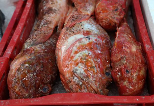 Šibenik:Bogata ponuda ribe na sibenskoj ribarnici.