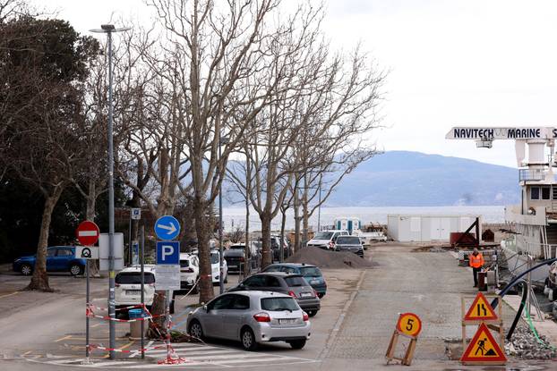 24sata: Novi Vinodolski: Oboljela stabla platane