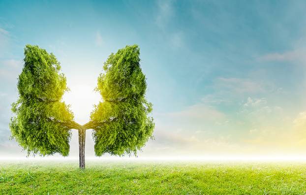 U njima se lakše diše: Ovo su 25 gradova s najčišćim zrakom