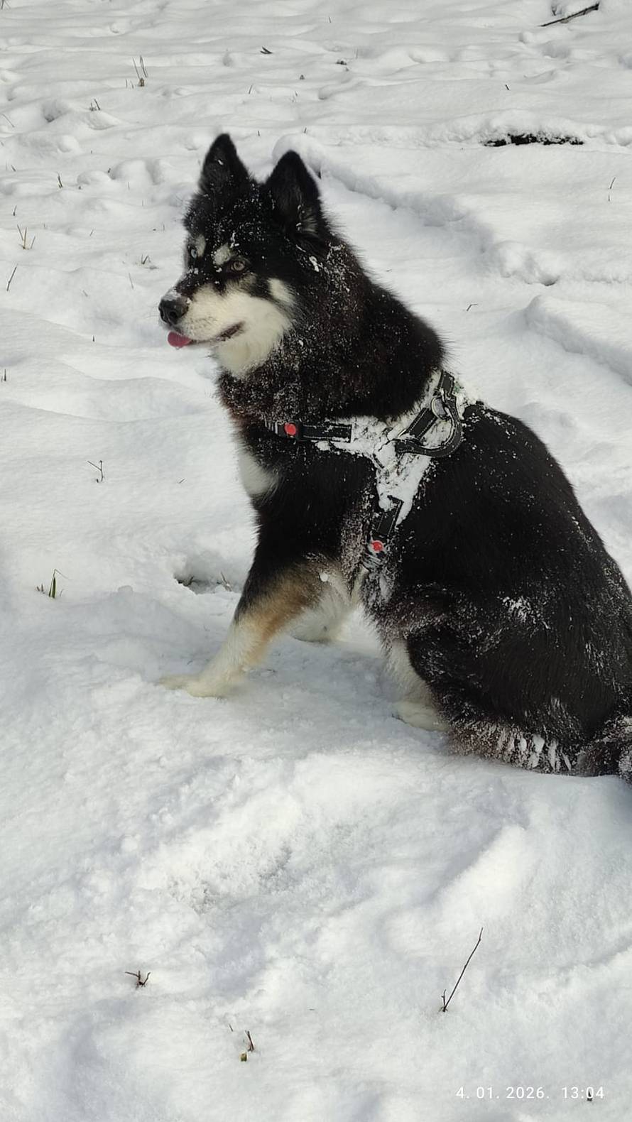 Općinska komunalka sama 'izlopatala' snijeg sa staze: 'Nema nikakve drame u tome'