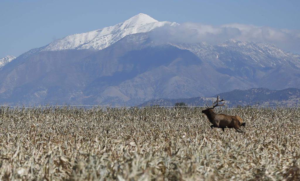 Reuters/Pixsell