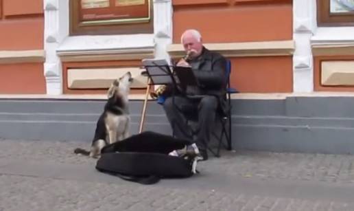 Lutalica je pjesmom pomagala uličnom sviraču da malo zaradi