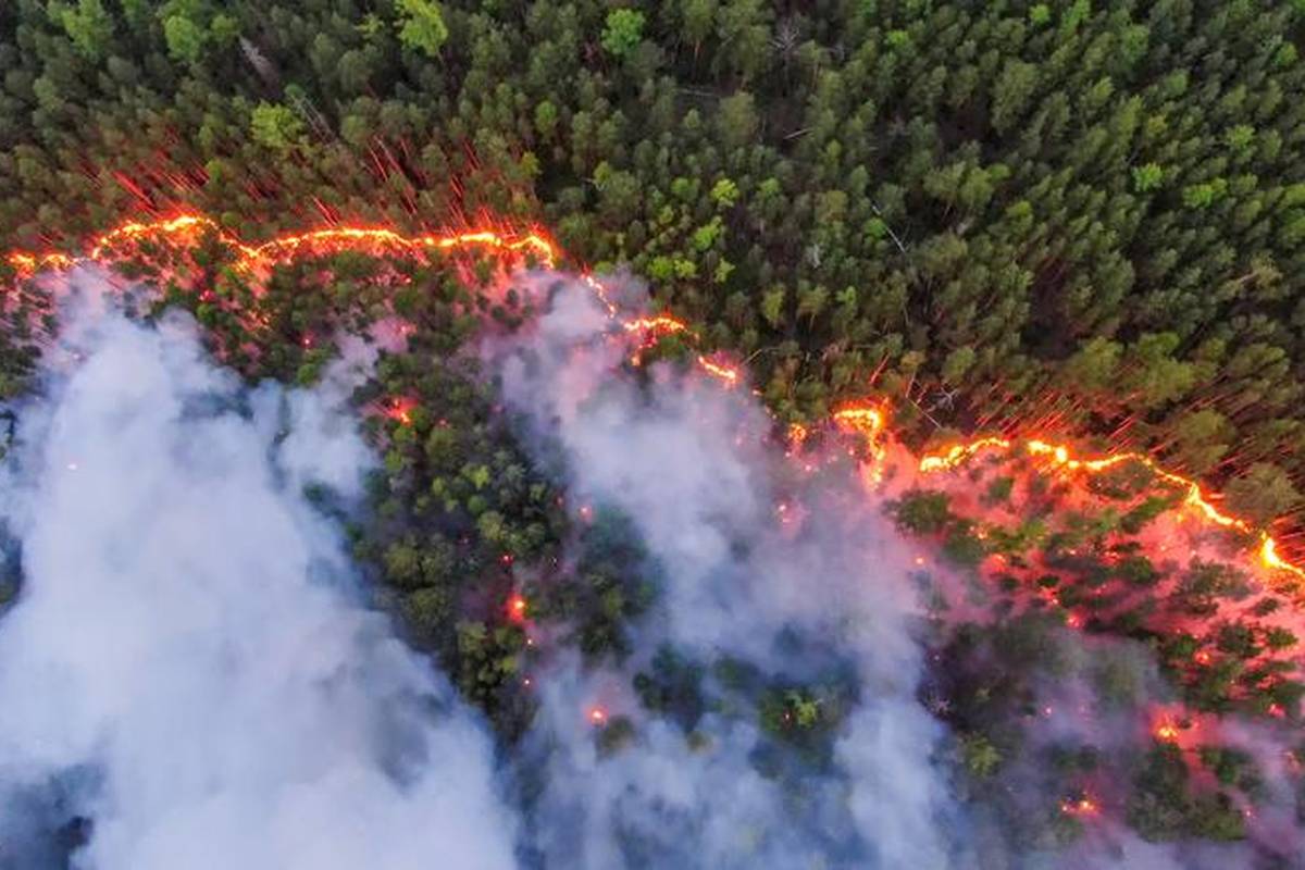 U Sibiru 187 požara: Vatra je došla do najhladnijeg grada na svijetu, otapa se i permafrost