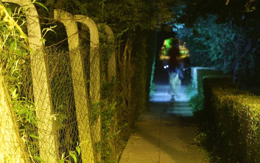 Petar Glebov/Pixsell