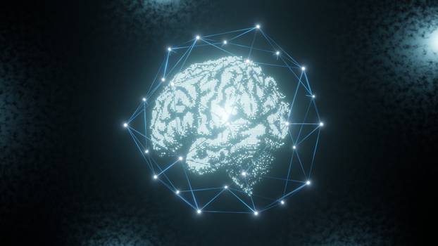 3d Rendering Plexus structure evolving around human brain