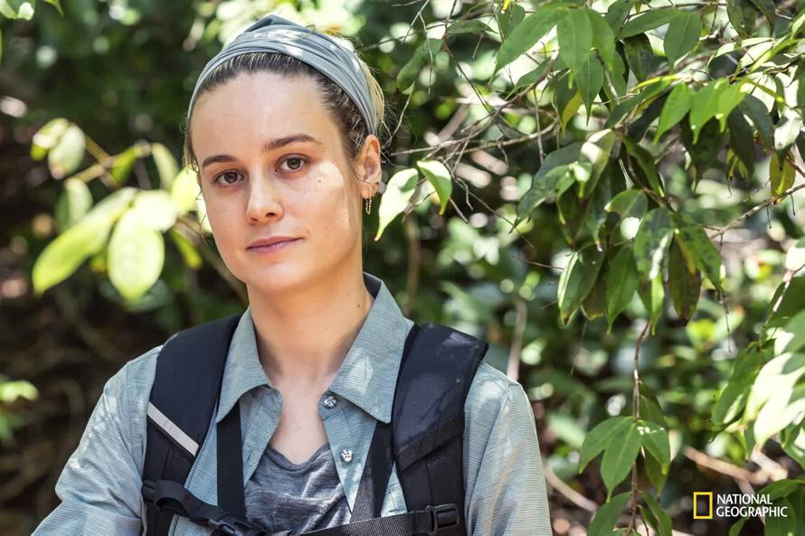 Oskarovka Brie Larson na rubu izdržljivosti