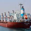 Turska zaustavila ruski brod u Crnom moru: Istražuju tvrdnje da je prevozio ukradeno žito