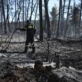 Šumski požari haraju sjeverno od Atene, evakuirali jedan grad