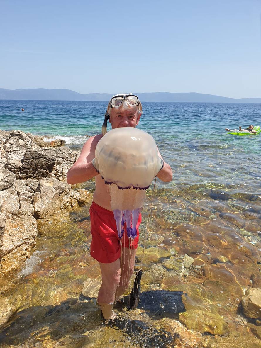 U Istri snimila ogromna 'morska pluća': 'Bila je na metar dubine, sigurno je teška pet kilograma'