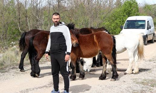 Ništa im nije sveto! Luki je netko po treći put pustio konje i to na Uskrs: 'Sve je to stres'