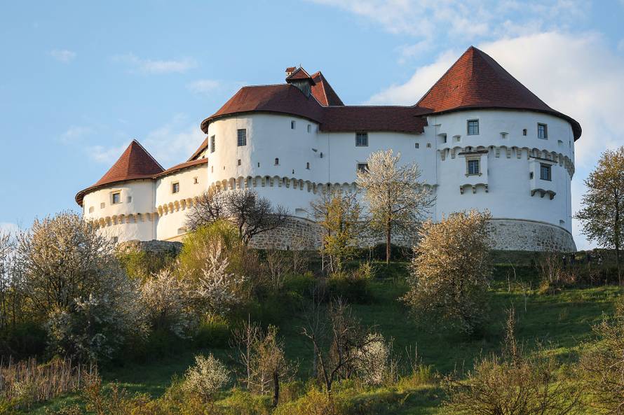 Kod Dvora Velik Tabor top usmrtio muškarca