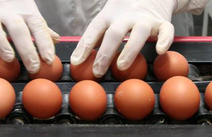 Javnost nisu obavijestili: Našli u dućanima jaja s antibioticima