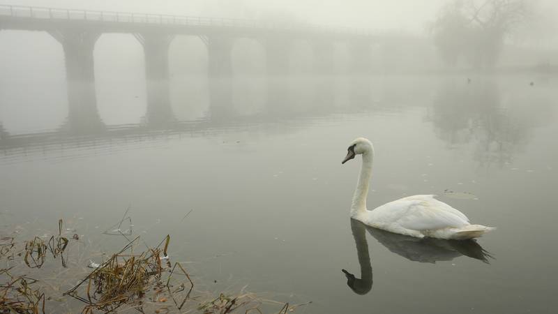 Evo kakvo će biti vrijeme danas