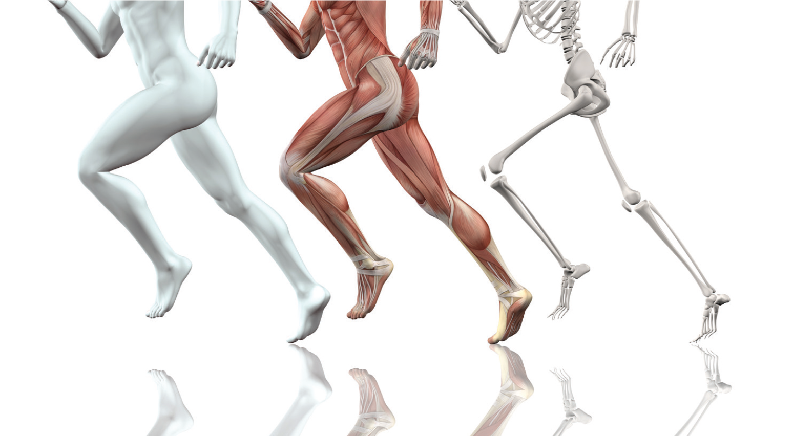 Kako liječiti svoje zglobove i kosti?