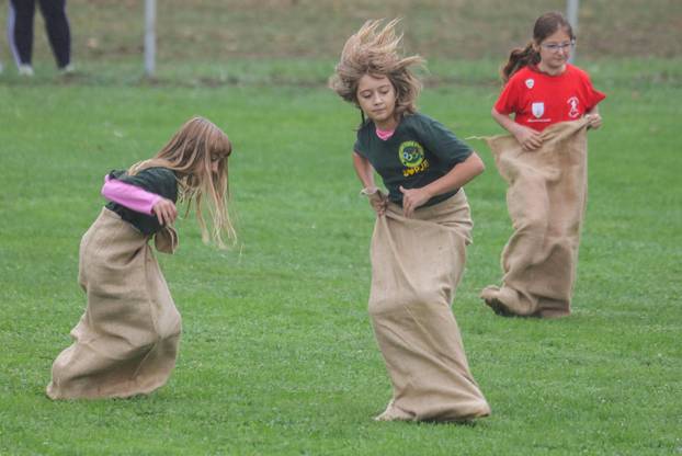 51. Olimpijada starih sportova u Brođancima